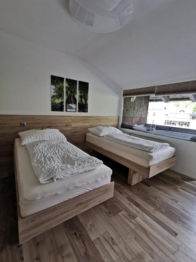 Appartement Mit Doppelbett Oder 2 Einzelbetten Bad Aussee Kültér fotó