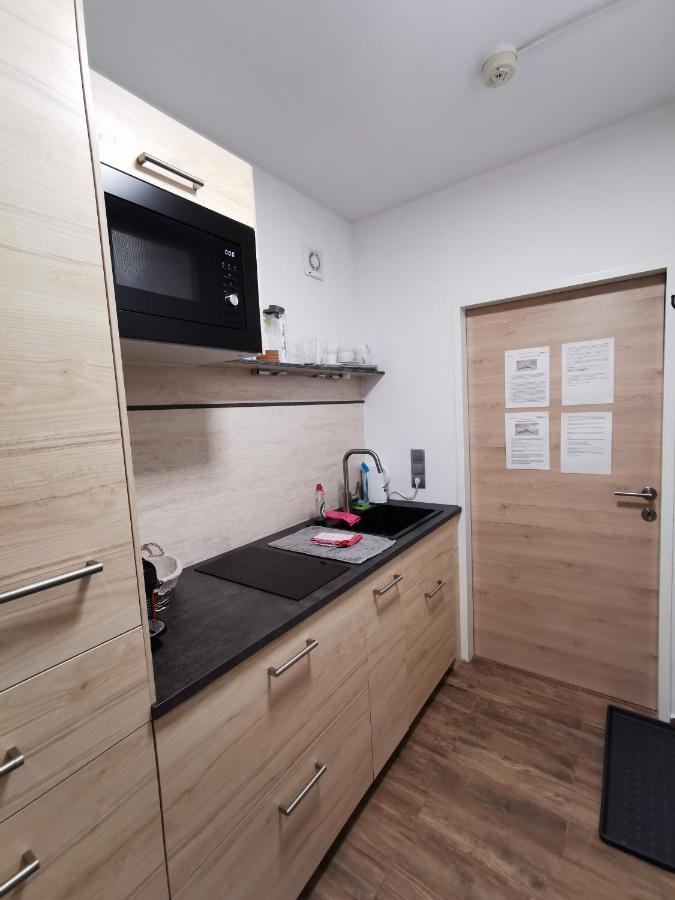 Appartement Mit Doppelbett Oder 2 Einzelbetten Bad Aussee Kültér fotó