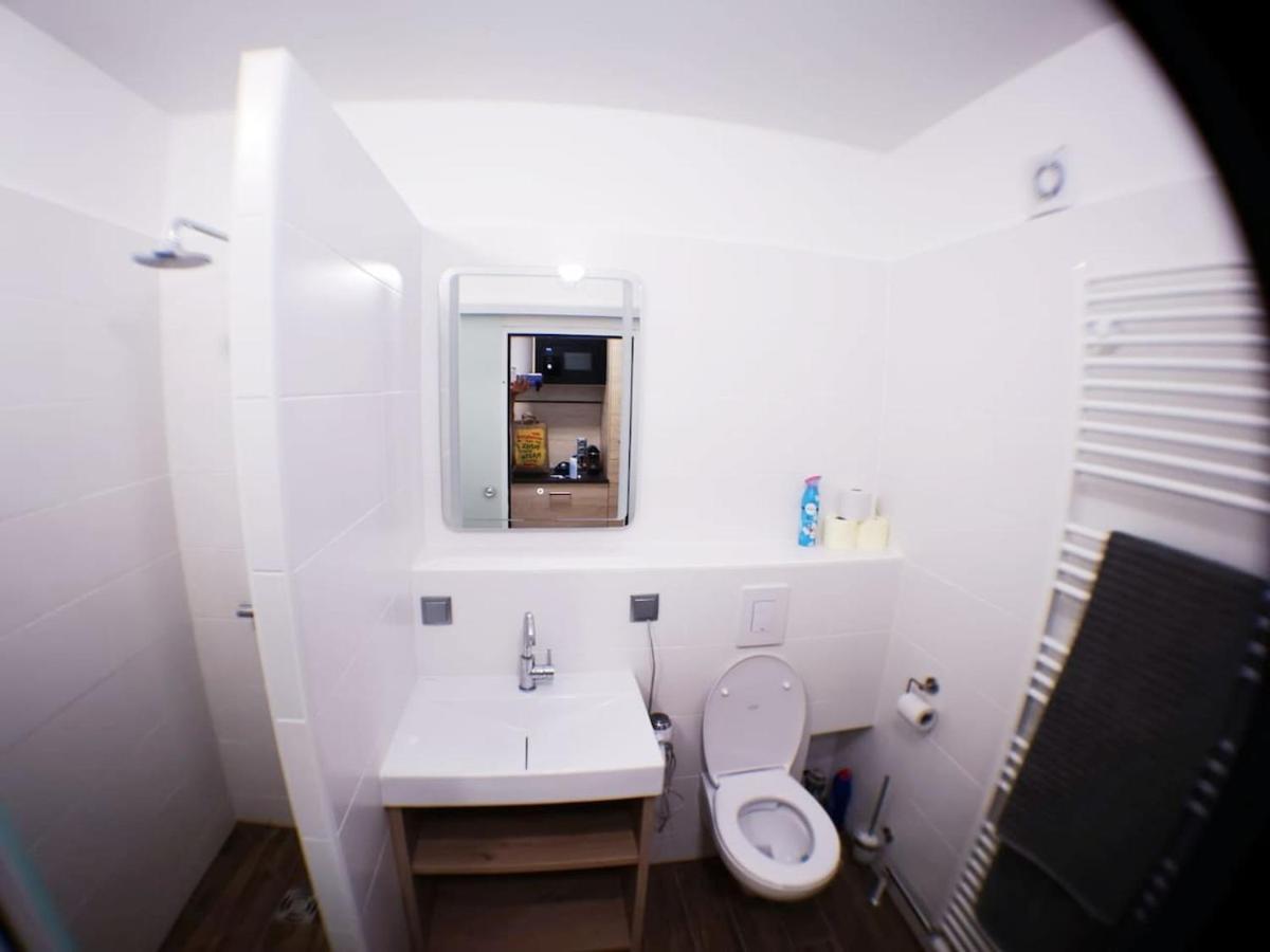 Appartement Mit Doppelbett Oder 2 Einzelbetten Bad Aussee Kültér fotó