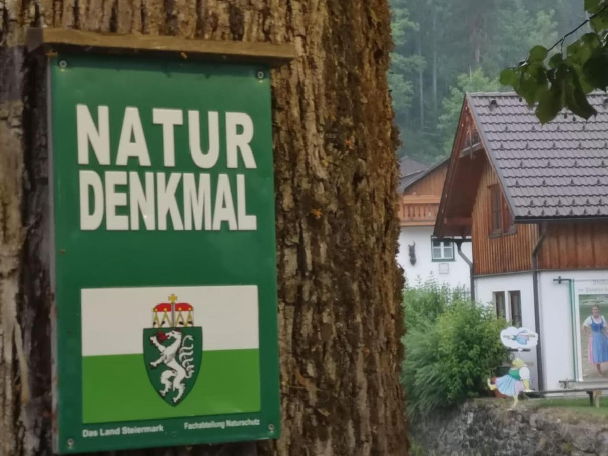 Appartement Mit Doppelbett Oder 2 Einzelbetten Bad Aussee Kültér fotó